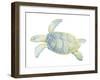 Tranquil Sea Turtle II-Megan Meagher-Framed Art Print