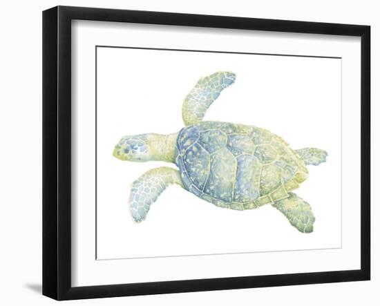 Tranquil Sea Turtle II-Megan Meagher-Framed Art Print