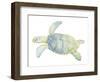 Tranquil Sea Turtle II-Megan Meagher-Framed Art Print