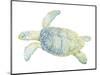 Tranquil Sea Turtle II-Megan Meagher-Mounted Art Print