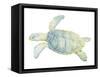 Tranquil Sea Turtle II-Megan Meagher-Framed Stretched Canvas