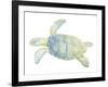 Tranquil Sea Turtle II-Megan Meagher-Framed Art Print