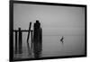 Tranquil Sea View with Wooden Jetty-Sharon Wish-Framed Photographic Print