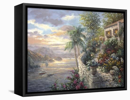 Tranquil Sea-Nicky Boehme-Framed Stretched Canvas