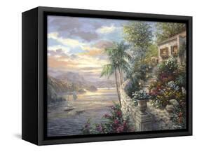 Tranquil Sea-Nicky Boehme-Framed Stretched Canvas