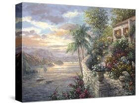 Tranquil Sea-Nicky Boehme-Stretched Canvas