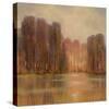 Tranquil Setting III-Hall-Stretched Canvas