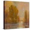 Tranquil Setting IV-Hall-Stretched Canvas