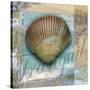 Tranquil Shell-Todd Williams-Stretched Canvas