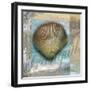 Tranquil Shell-Todd Williams-Framed Art Print