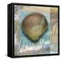 Tranquil Shell-Todd Williams-Framed Stretched Canvas