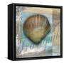 Tranquil Shell-Todd Williams-Framed Stretched Canvas