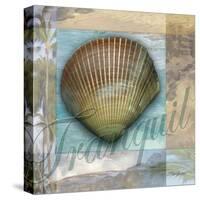 Tranquil Shell-Todd Williams-Stretched Canvas