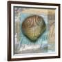 Tranquil Shell-Todd Williams-Framed Art Print