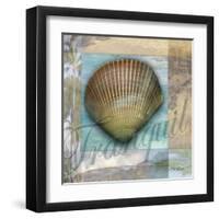 Tranquil Shell-Todd Williams-Framed Art Print