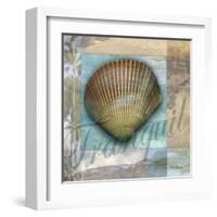 Tranquil Shell-Todd Williams-Framed Art Print