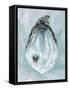 Tranquil Shucks-Jeanette Vertentes-Framed Stretched Canvas