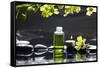 Tranquil Spa Scene - Massage Oil and Candle on Black Stones with Green Orchid-crystalfoto-Framed Stretched Canvas