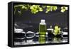 Tranquil Spa Scene - Massage Oil and Candle on Black Stones with Green Orchid-crystalfoto-Framed Stretched Canvas