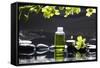 Tranquil Spa Scene - Massage Oil and Candle on Black Stones with Green Orchid-crystalfoto-Framed Stretched Canvas