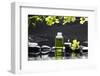 Tranquil Spa Scene - Massage Oil and Candle on Black Stones with Green Orchid-crystalfoto-Framed Photographic Print