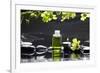 Tranquil Spa Scene - Massage Oil and Candle on Black Stones with Green Orchid-crystalfoto-Framed Photographic Print