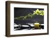 Tranquil Spa Scene-crystalfoto-Framed Photographic Print