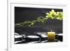 Tranquil Spa Scene-crystalfoto-Framed Photographic Print