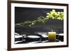 Tranquil Spa Scene-crystalfoto-Framed Photographic Print