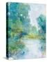 Tranquil Stream I-Tim OToole-Stretched Canvas