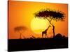 Tranquil Sunset Scene In Africa. Silhouette Animals And Trees In Africa Sunset Background-ori-artiste-Stretched Canvas