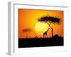 Tranquil Sunset Scene In Africa. Silhouette Animals And Trees In Africa Sunset Background-ori-artiste-Framed Art Print