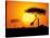 Tranquil Sunset Scene In Africa. Silhouette Animals And Trees In Africa Sunset Background-ori-artiste-Stretched Canvas