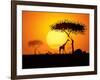 Tranquil Sunset Scene In Africa. Silhouette Animals And Trees In Africa Sunset Background-ori-artiste-Framed Art Print
