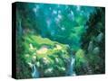 Stretched Canvas