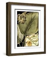 Tranquil Tropical Leaves I-Vision Studio-Framed Art Print