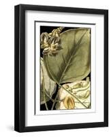 Tranquil Tropical Leaves I-Vision Studio-Framed Art Print