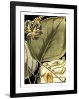 Tranquil Tropical Leaves I-Vision Studio-Framed Art Print