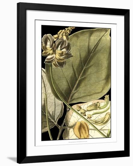 Tranquil Tropical Leaves I-Vision Studio-Framed Art Print