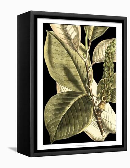 Tranquil Tropical Leaves II-Vision Studio-Framed Stretched Canvas