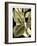 Tranquil Tropical Leaves II-Vision Studio-Framed Art Print