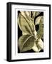 Tranquil Tropical Leaves II-Vision Studio-Framed Art Print