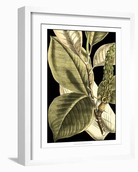 Tranquil Tropical Leaves II-Vision Studio-Framed Art Print