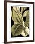 Tranquil Tropical Leaves II-Vision Studio-Framed Art Print