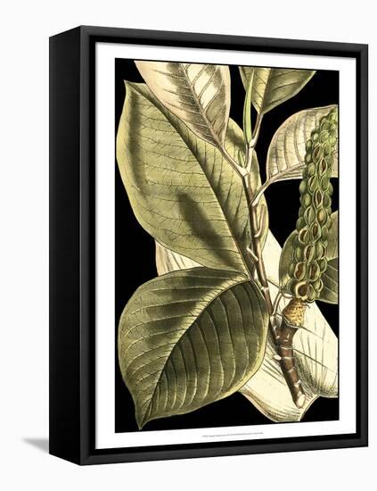 Tranquil Tropical Leaves II-Vision Studio-Framed Stretched Canvas