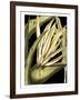 Tranquil Tropical Leaves III-Vision Studio-Framed Art Print