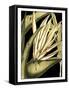 Tranquil Tropical Leaves III-Vision Studio-Framed Stretched Canvas