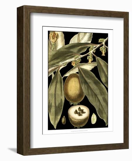 Tranquil Tropical Leaves IV-Vision Studio-Framed Art Print