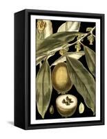 Tranquil Tropical Leaves IV-Vision Studio-Framed Stretched Canvas