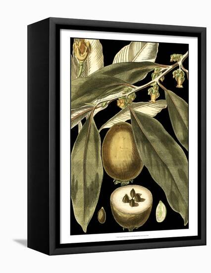 Tranquil Tropical Leaves IV-Vision Studio-Framed Stretched Canvas